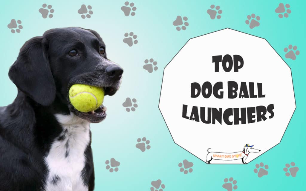 best dog ball launchers