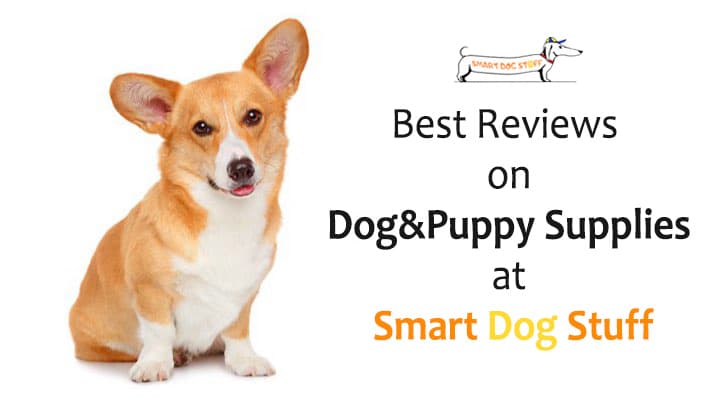 Best Dog and Puppy Supplies at Smart Dog Stuff