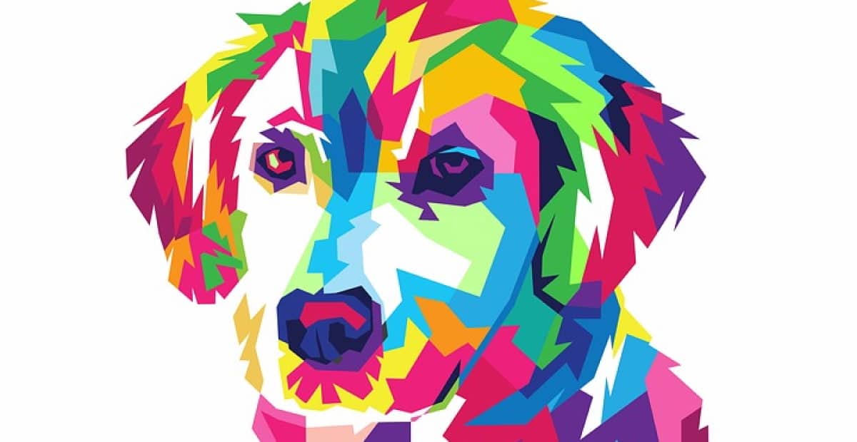 Pet Wall Art as The Perfect Gift Dog Care HQ