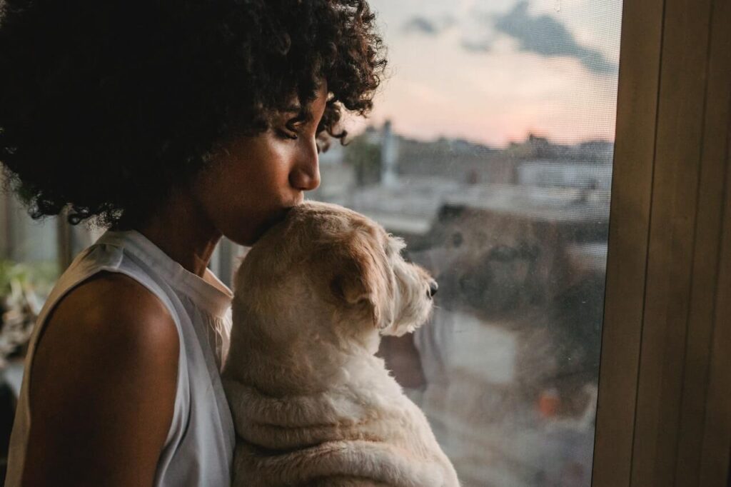 girl kisses jealous dog